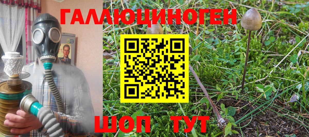 Тосно  Псилоцибиновые грибы мицелий  Вход с VPN 